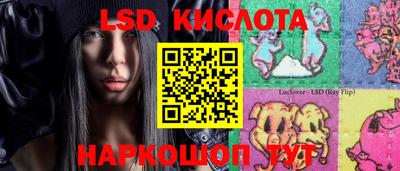 spice Рыбинск