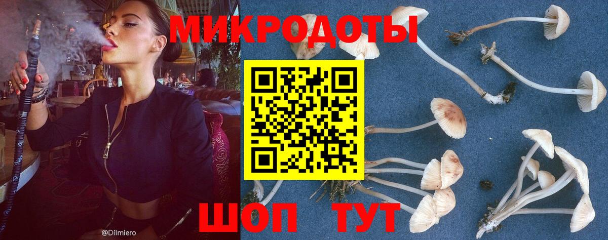Сертолово  Галлюциногенные грибы мицелий  Вход с VPN 